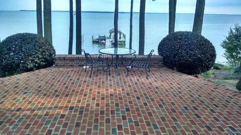 backyard-1